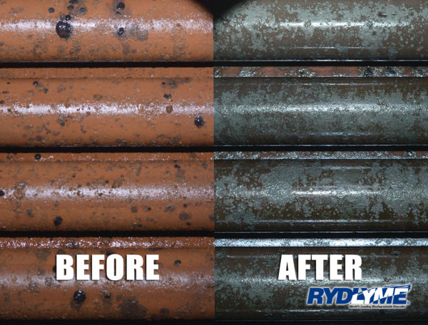 RYDLYME 食品級除垢除鏽清潔劑